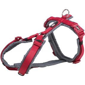 Petnešos šunims Trixie Premium, raudona sp./pilka sp., 440 - 530 mm x 20 mm, S/M