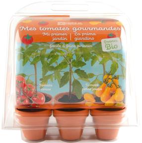 Taimekasvatuse komplekt Radis Et Capucine My First Greenhouse Organic Tomatoes, punane v./kollane v.