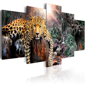 Reprodukcija Artgeist Leopard Relaxation N6086-DKXLPWD, 225 cm x 112.5 cm