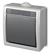 Skambučio mygtukas Elektro-Plast Aquant 1205-10, 1 kl., antracito sp./pilka sp.