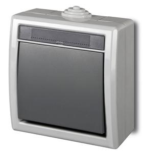 Mygtukas Elektro-Plast Aquant, 1 kl., antracito/pilka