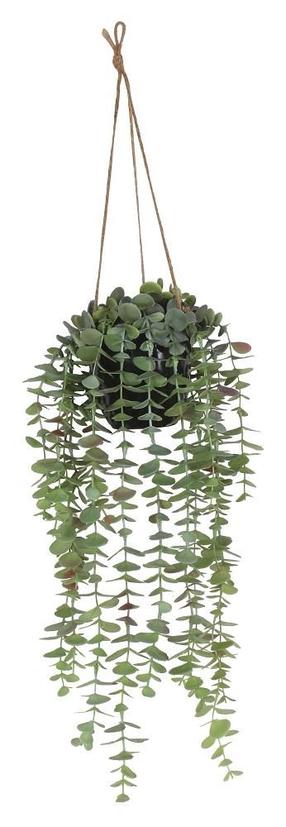 Mākslīgais augs podiņā, eikalipts Splendid Eukaliptus, zaļa krās., 45 cm
