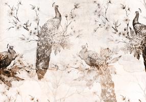 Fototapetas Artgeist Peacocks In Delicate Beige, 315 cm x 441 cm