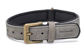 Kaelarihm koertele Beeztees Balacron, hall v., 380 - 480 mm x 25 mm, 38-48 x 2.5 cm
