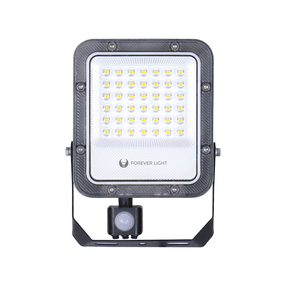 Прожектор без датчика движения, установлевается на поверхности Forever Light Proxim LED, 30 Вт, 4500 лм, 6500 °К, IP65, черный цв.