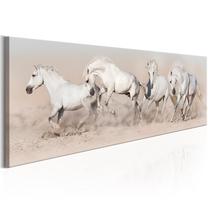 Reprodukcija Artgeist Wild Beauty N6438, 120 cm x 40 cm