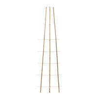 Augalo atrama Garden Center, 3 cm x 50 cm, 150 cm, bambukas