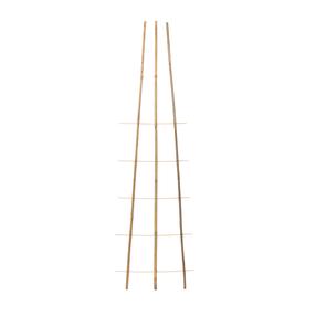 Taimetugi Garden Center, 3 cm x 50 cm, 150 cm, bambus