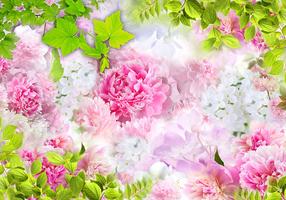 Fototapetas Artgeist Peonies SNEW011301, 70 cm x 100 cm
