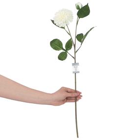Dirbtinė gėlė, bijūnas AmeliaHome Piwoni White, balta sp./žalia sp., 62 cm x 4.2 cm