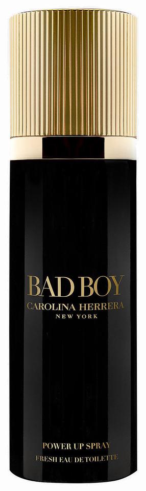 Туалетная вода Carolina Herrera Bad Boy Men, 100 мл