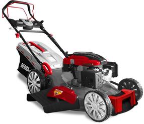 Benzīna zāles pļāvējs pašgājējs Dedra DED8725Q-56L, 56 cm