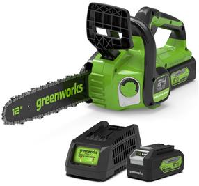 Аккумуляторная цепная пила Greenworks GD24CS30K4, 30 см