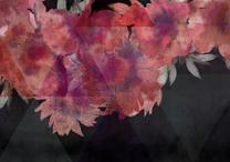Fototapetas Artgeist Romantic Flowers 5XLFT2284, 315 cm x 450 cm