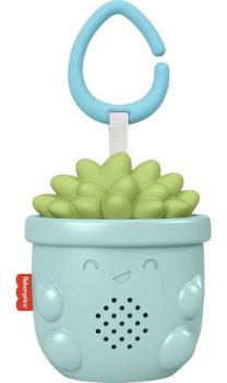 Lavinamasis žaislas kūdikiui Mattel Fisher Price Soothe & Go Succulent, 20.3 cm, įvairių spalvų
