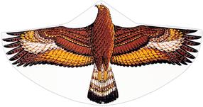 Tuulelohe Gunther Steinadler
