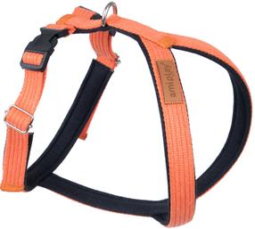 Petnešos šunims Amiplay Cotton Grand Soft, oranžinė sp., 490 - 590 mm, 49-59