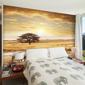 Fototapetas Artgeist African zebras around watering hole, 309 cm x 400 cm
