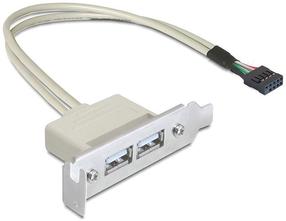 Adapteris Delock Bracket USB 9pin to USB x2 USB, USB 2.0 A female, 0.5 m, pilka sp.