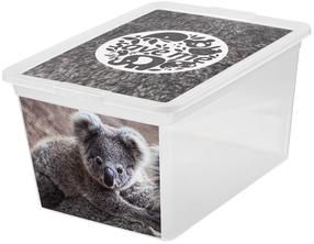 Daiktadėžė su dangčiu, žaislams Branq X Box Deco, 15 l, skaidri sp./pilka sp., 38.5 x 28.5 x 20 cm