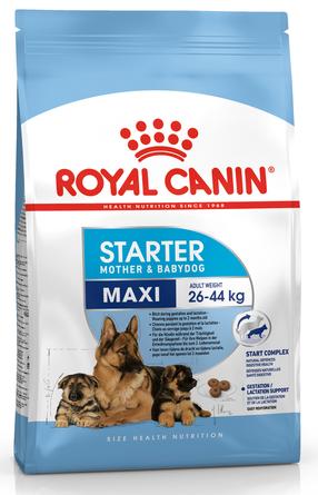 Kuiv koeratoit Royal Canin Maxi Starter, kanaliha, 15 kg