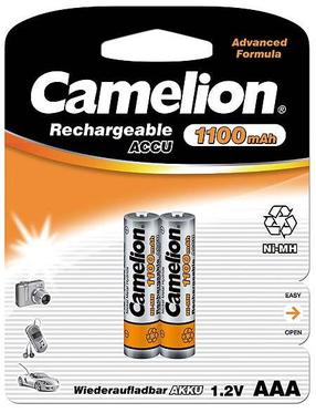 Patareid Camelion, AAA