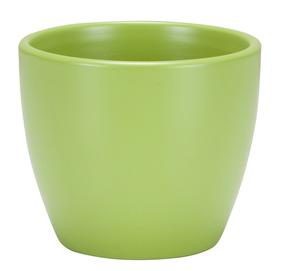 Puķu pods Scheurich Mini 30651, keramika, Ø 9 cm, (krāsa/dizains tiek izvēlēts nejauši)