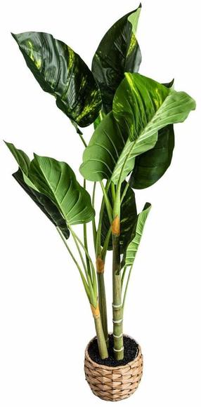 Kunsttaim potis Homla Difenbachia, roheline v., 110 cm