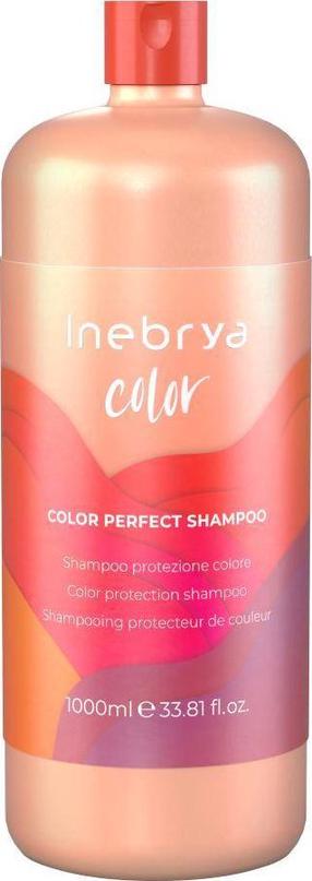 Šampūnas Inebrya Color Perfect, 1000 ml