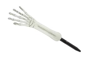 Dekorācija Skeleton Hand 748115, balta krās., 29 cm