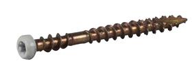 Kruvi Essve TX10 10003692, 42 mm x 3.9 mm x 3.9 mm, 20 tk