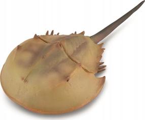 Žaislinė figūrėlė Collecta Horseshoe Crab 88905, 15 cm, ruda sp.