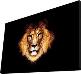 Sienos dekoracija Wallity, 3090ýact-38, 70 cm x 45 cm