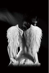 Foto paveikslas, 80 cm x 120 cm