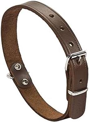 Kaelarihm koertele Beeztees, pruun v., 470 mm x 18 mm, 47