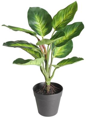 Mākslīgais augs podiņā Splendid Dieffenbachia 35, zaļa krās., 35 cm