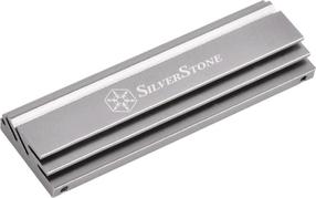 Jahuti SilverStone SST-TP04, 40 g, hõbe v.