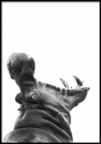 Paveikslas DecoKing Hippopotamus, 70 cm x 100 cm