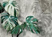 Fototapetas Artgeist Variegata, 280 cm x 280 cm