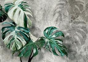 Fototapetas Artgeist Variegata, 280 cm x 280 cm