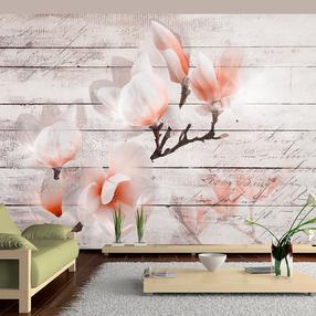 Fototapetas Artgeist Subtlety Of The Magnolia SFT16SAM, 70 cm x 98 cm
