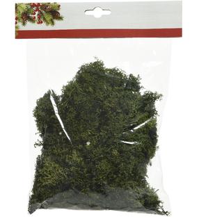 Augalų kompozicija dekoratyvinės samanos, 0.25 cm, žalia sp.