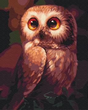 Glezna pēc numuriem Picture Paint It! Owl, daudzkrāsaina