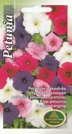 Sēklas Kurzemes sēklas petūnijas Mix Seeds, 3 g