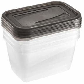 Maisto dėžučių rinkinys Keeeper Fredo Fresh, 0.75 l, 15 cm x 8 cm, skaidri sp./pilka sp., 4 vnt.