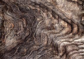 Fototapetas Artgeist Signs Of The Times - An Abstract Background With The Wrinkled Bark Of An Old Tree, 175 cm x 175 cm