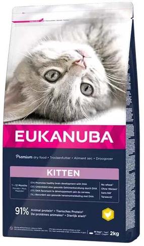 Sausas kačių maistas Eukanuba Kitten Healthy Start, vištiena, 10 kg