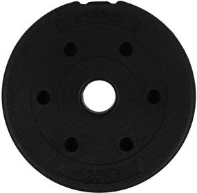 Diskinis svoris Zipro Disk Weight x 1.25 kg