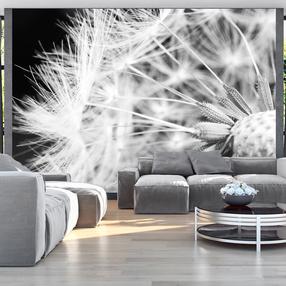 Fototapetas Artgeist Black And White Dandelion, 105 cm x 105 cm
