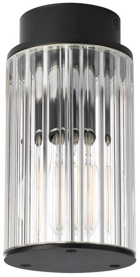 Āra griestu lampa Argon Norfolk, 15W, E27, IP44, melna krās., 12 cm x 19 cm